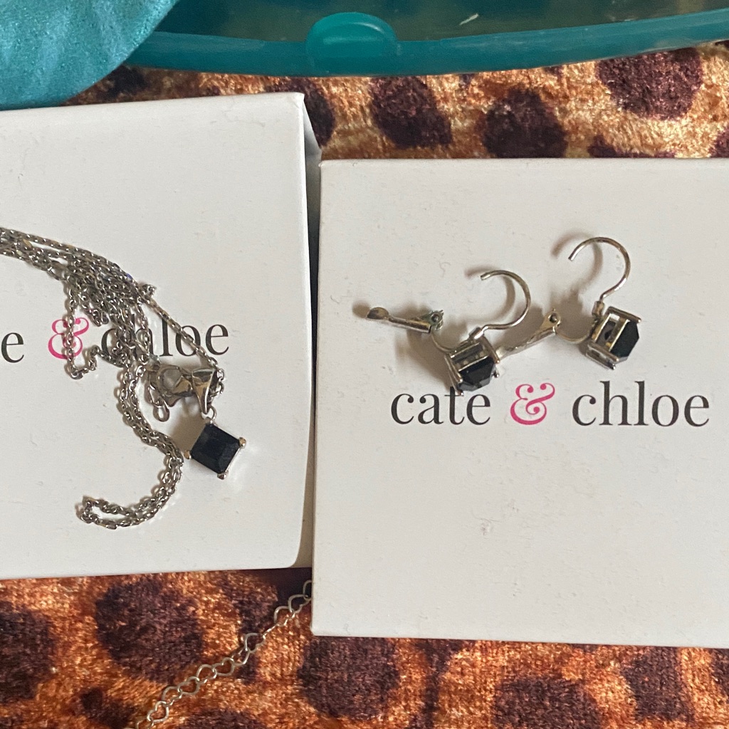Cate & Chloe Necklace & Earrings Set In Boxes